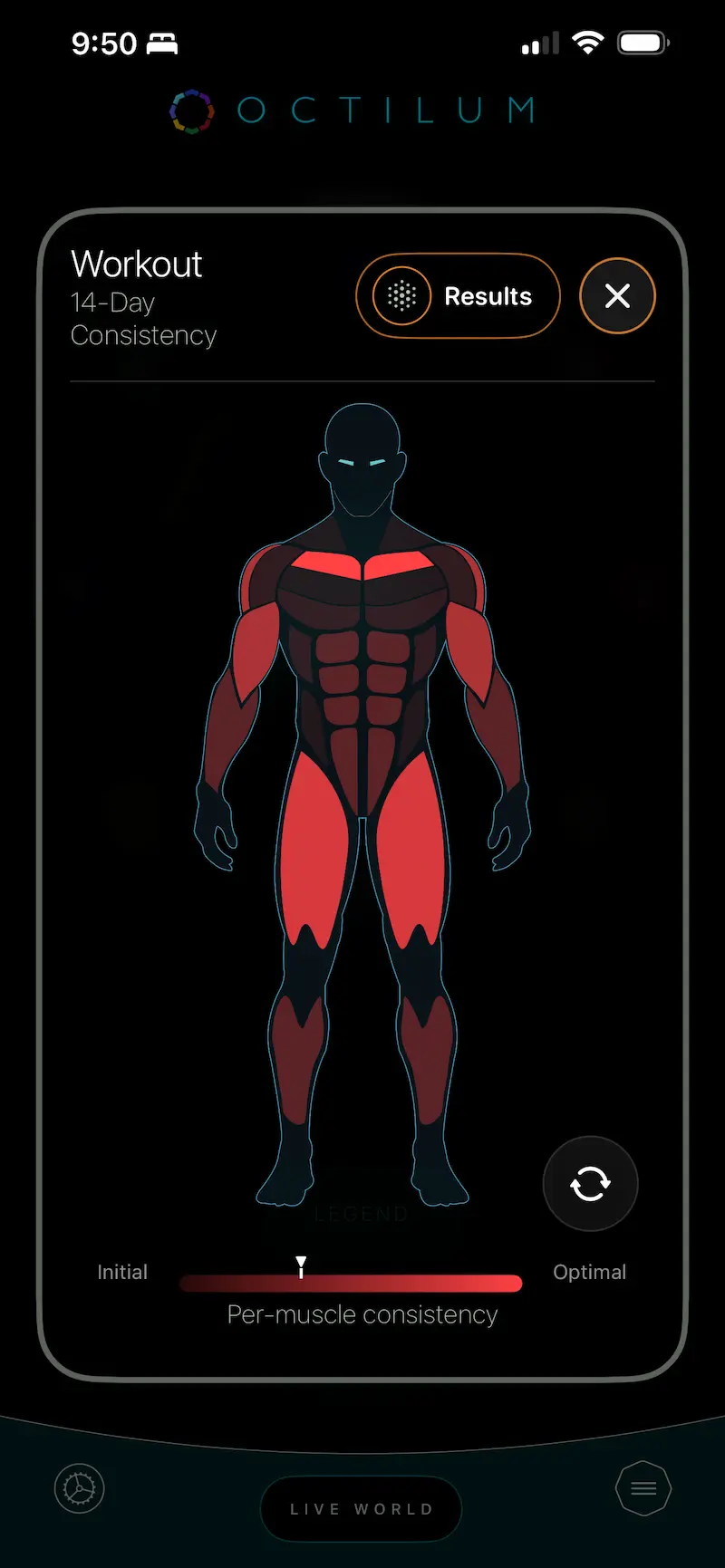 Workout muscle consistency map